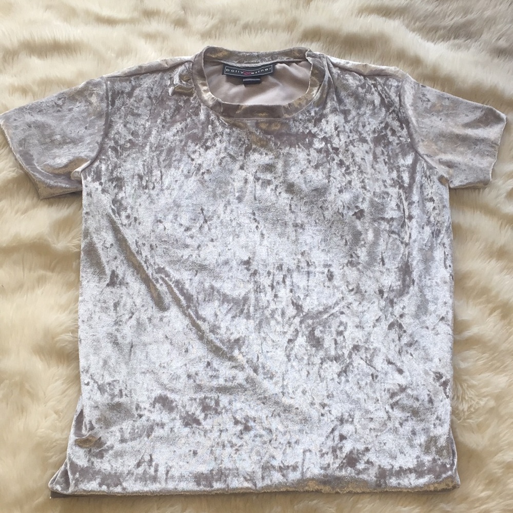 Brand New Silver Velvet Top
